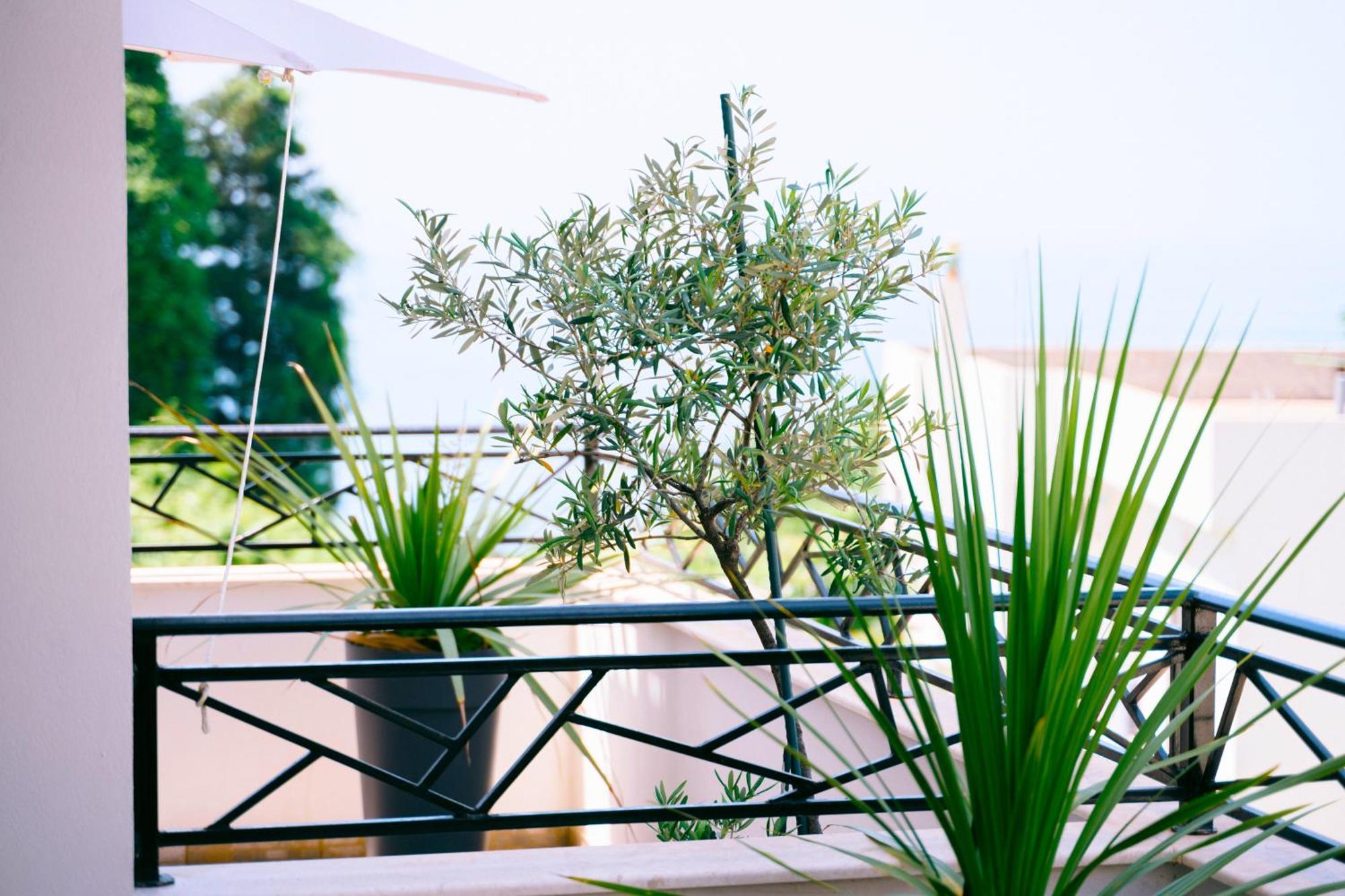 דירה The Rooftop Of Lungo Mare 